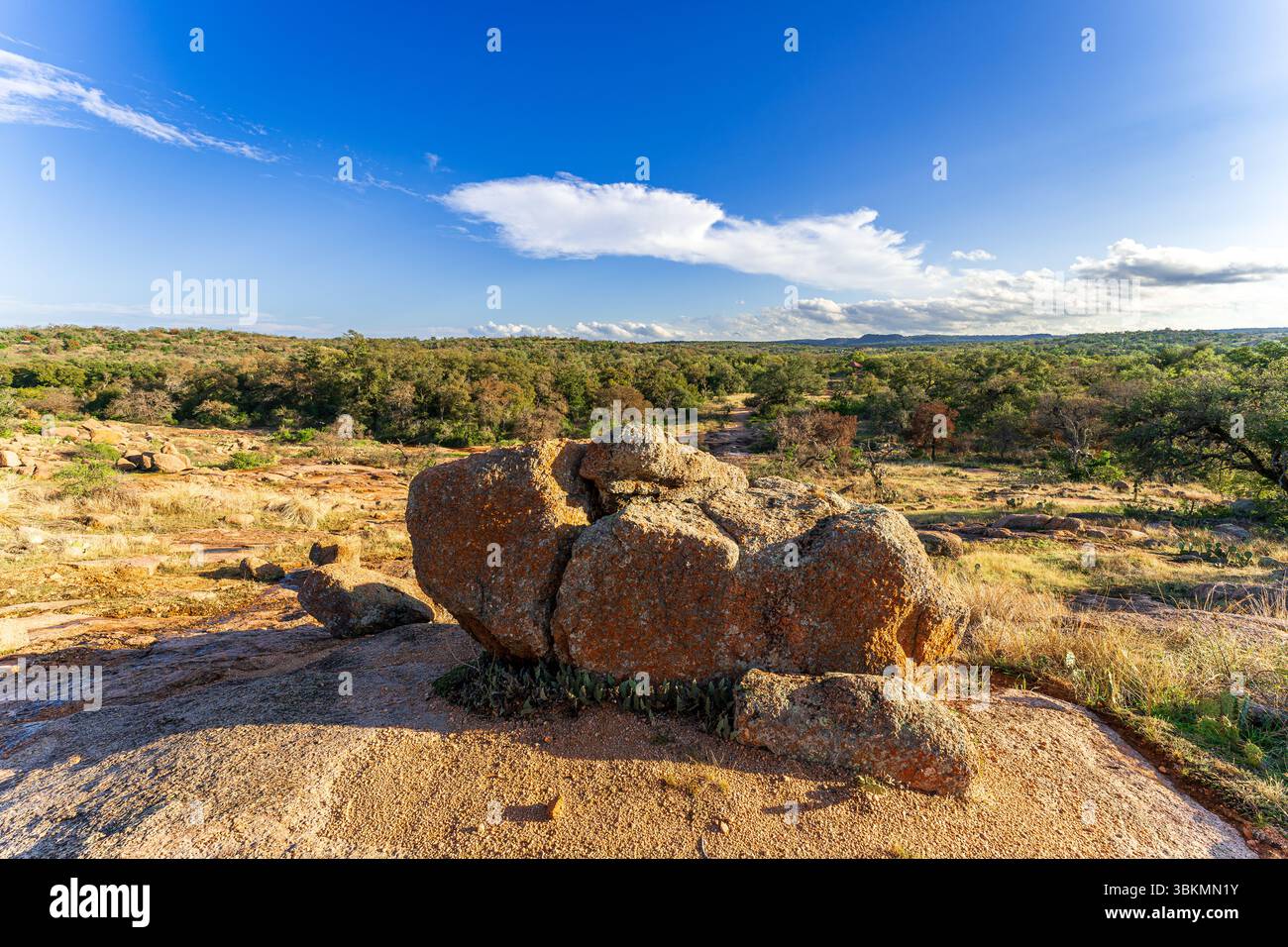 Vue panoramique de la zone naturelle d'Enchanted Rock State, Texas, États-Unis Banque D'Images