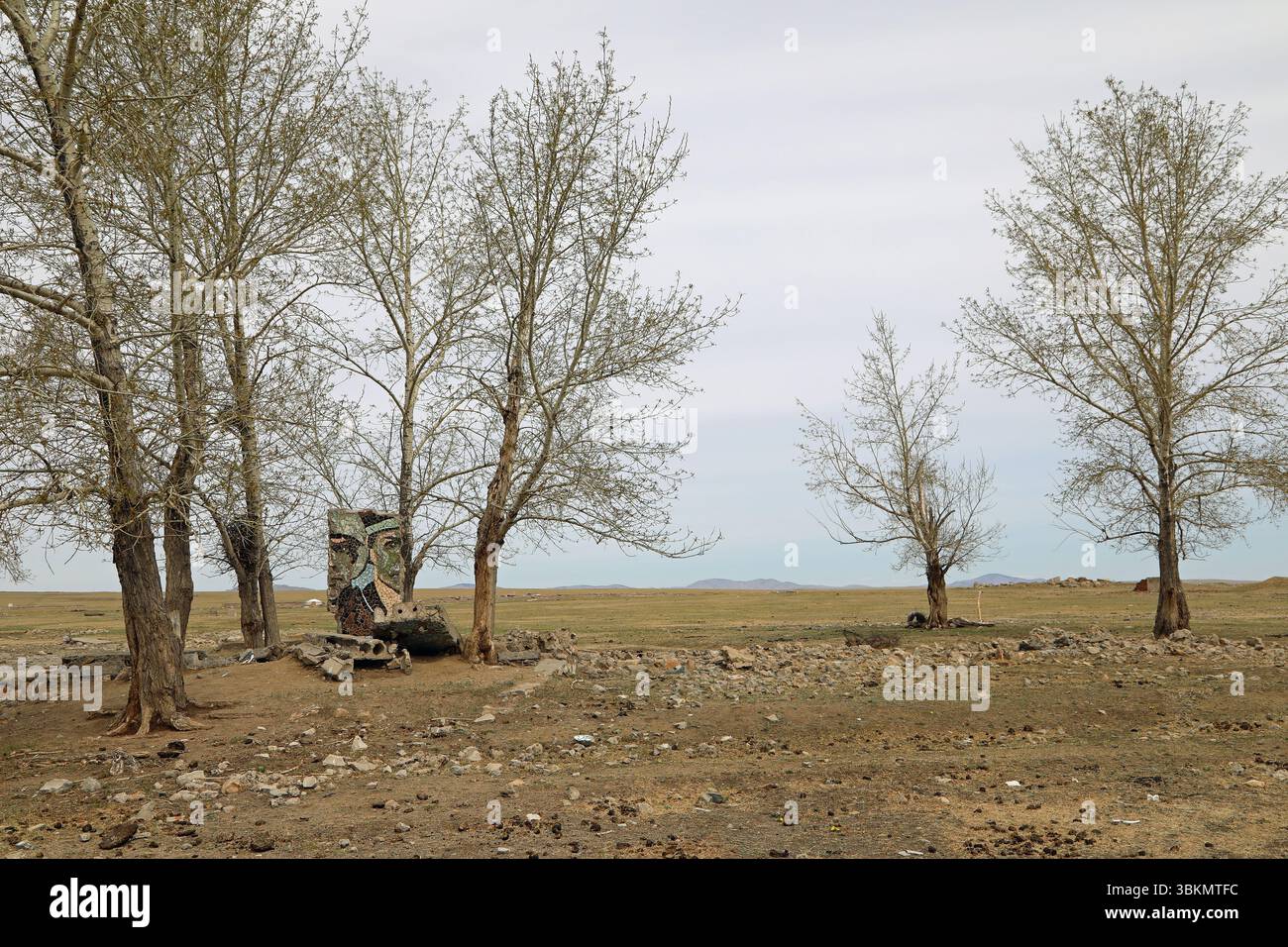 Arbres importés de Russie poussant dans une base militaire abandonnée en Mongolie Banque D'Images