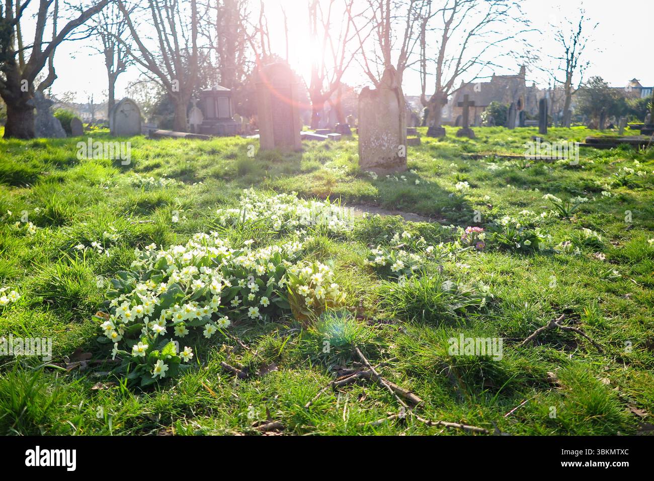 St Mary's Churchyard à Wandsswoth, Londres par un matin de printemps ensoleillé Banque D'Images