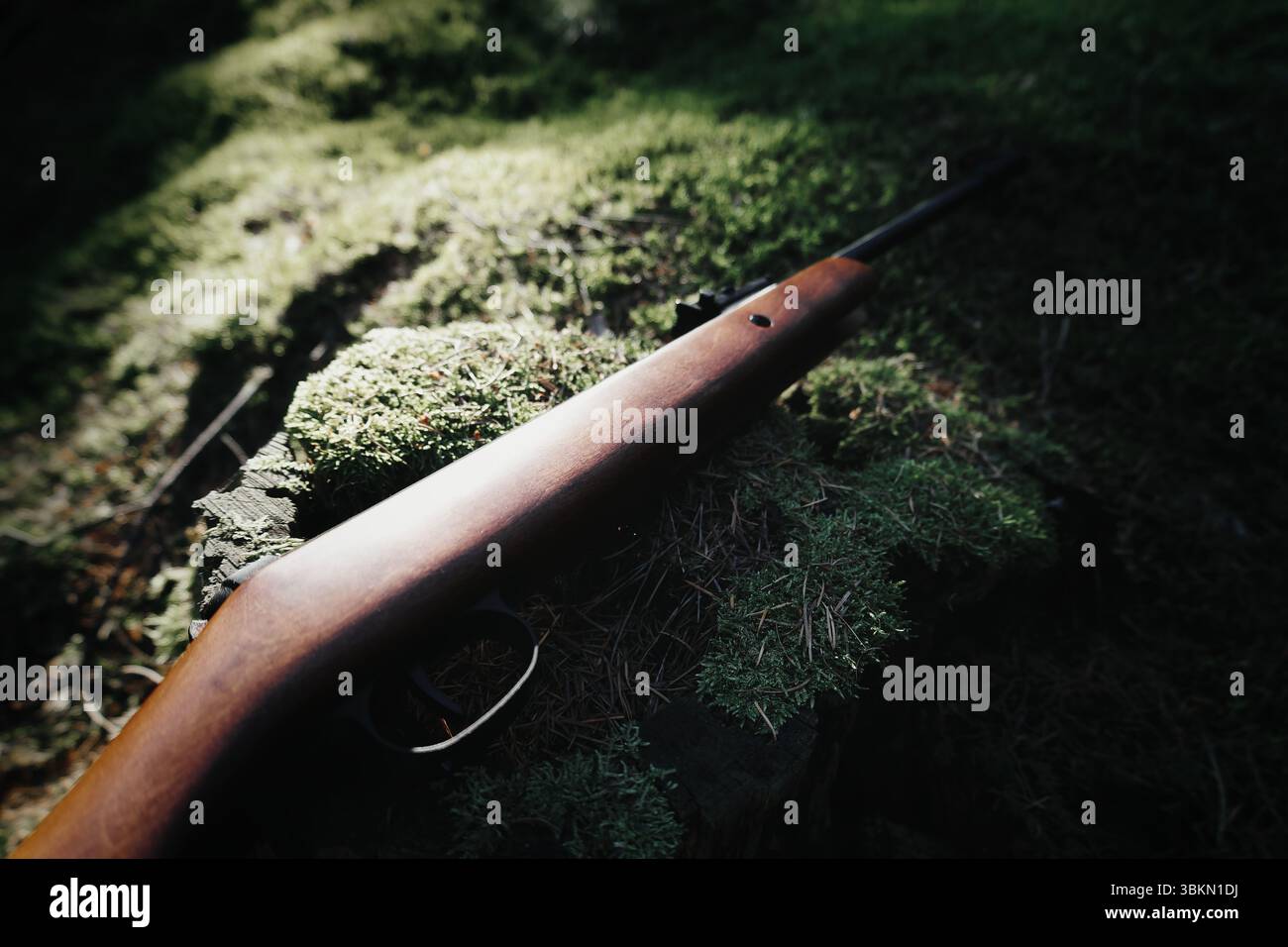 Pistolet déclencheur cible gros plan sport tireur sportif tireur hobby défense arme à feu munitions protection balles chasse fusil à air silencieux Banque D'Images