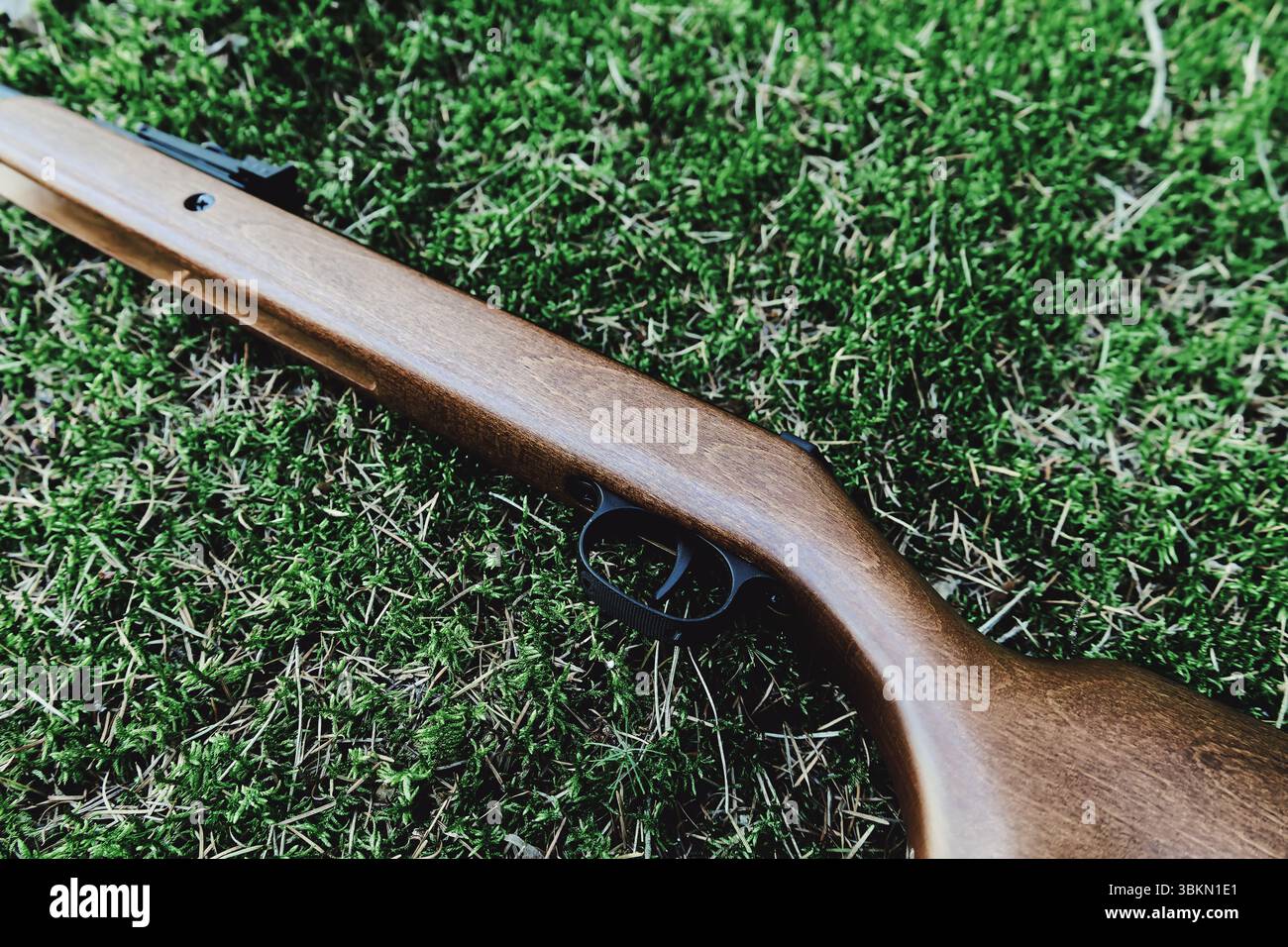 Pistolet déclencheur cible gros plan sport tireur sportif tireur hobby défense arme à feu munitions protection balles chasse fusil à air silencieux Banque D'Images