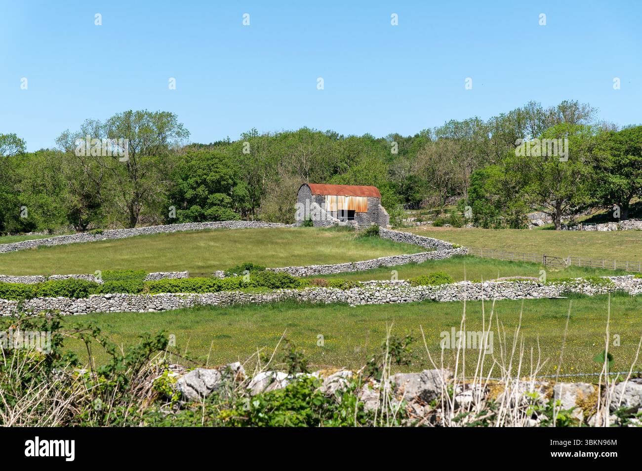 Une grange en pierre avec un toit métallique près de Warton, Lancashire, Royaume-Uni Banque D'Images