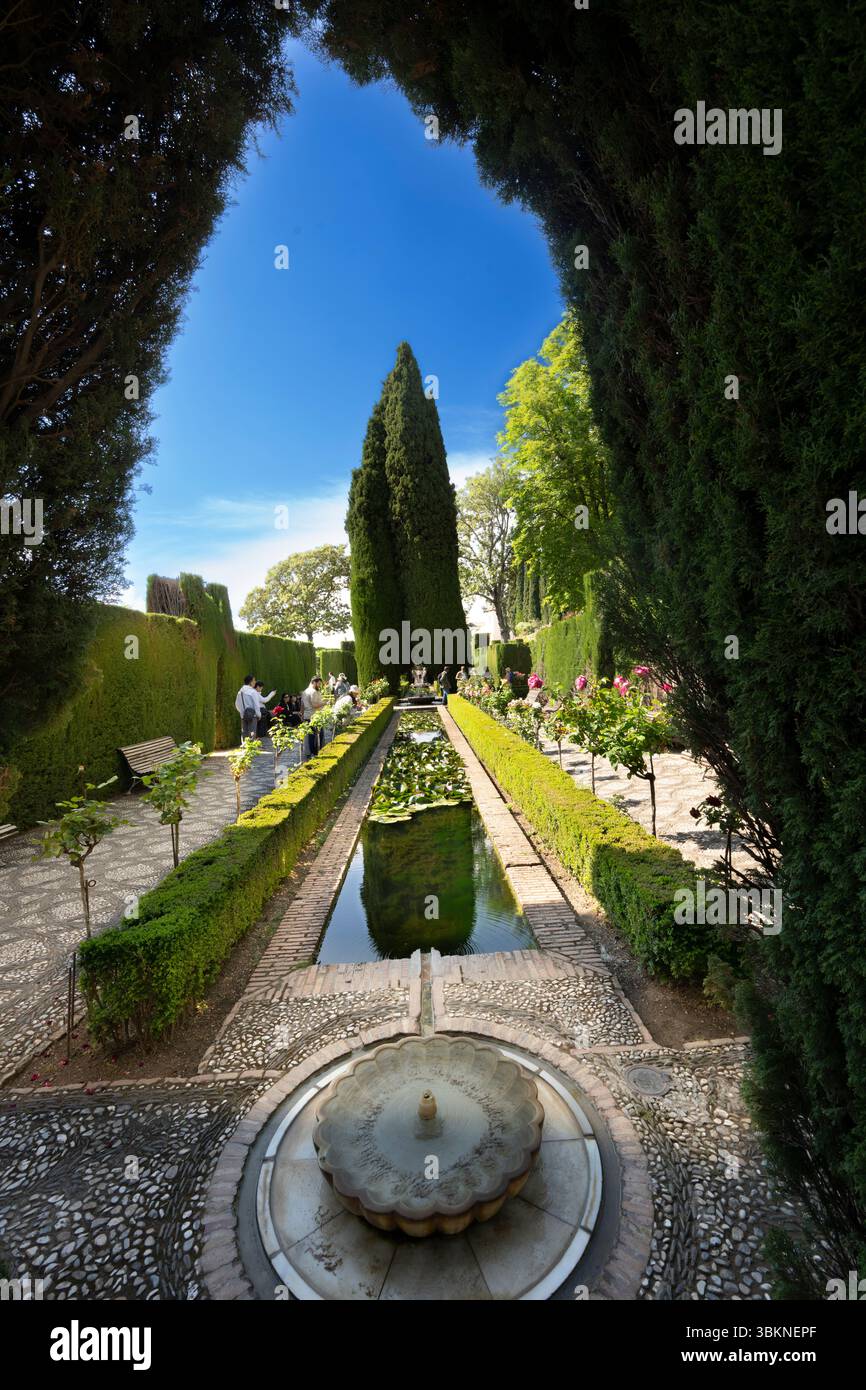 Generalife, Alhambra, Grenade, Andalousie, Espagne Banque D'Images