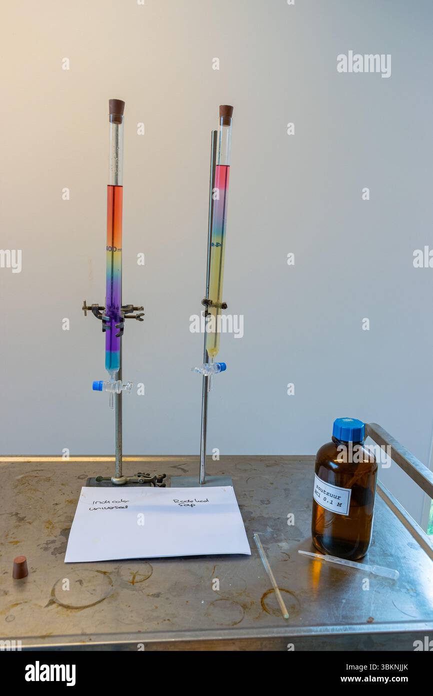 Couleurs arc-en-ciel dans des tubes de liquide qui diffèrent en acidité. Utilisé comme démonstration en classe de chimie au lycée. Banque D'Images