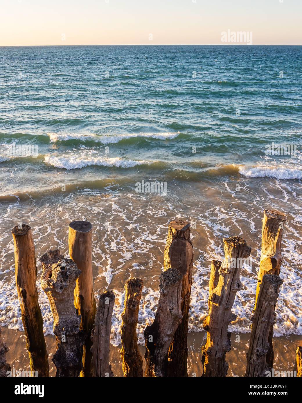 Image verticale de brise-lames en bois altérés sur la plage de Saint-Malo au coucher du soleil. Lumière chaude, sable et vagues douces sur la côte bretonne. Idéal f Banque D'Images