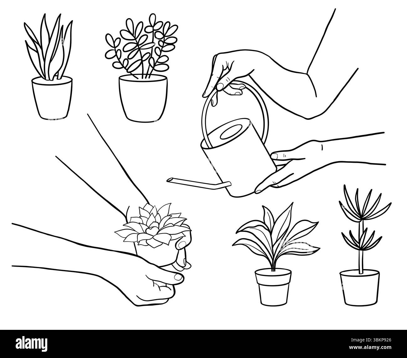 La personne arrose la plante avec une canette d'eau, la fleur pousse. Concept de soin des plantes, maison plat, jardinage, culture des plantes. Illustration vectorielle isolée Illustration de Vecteur