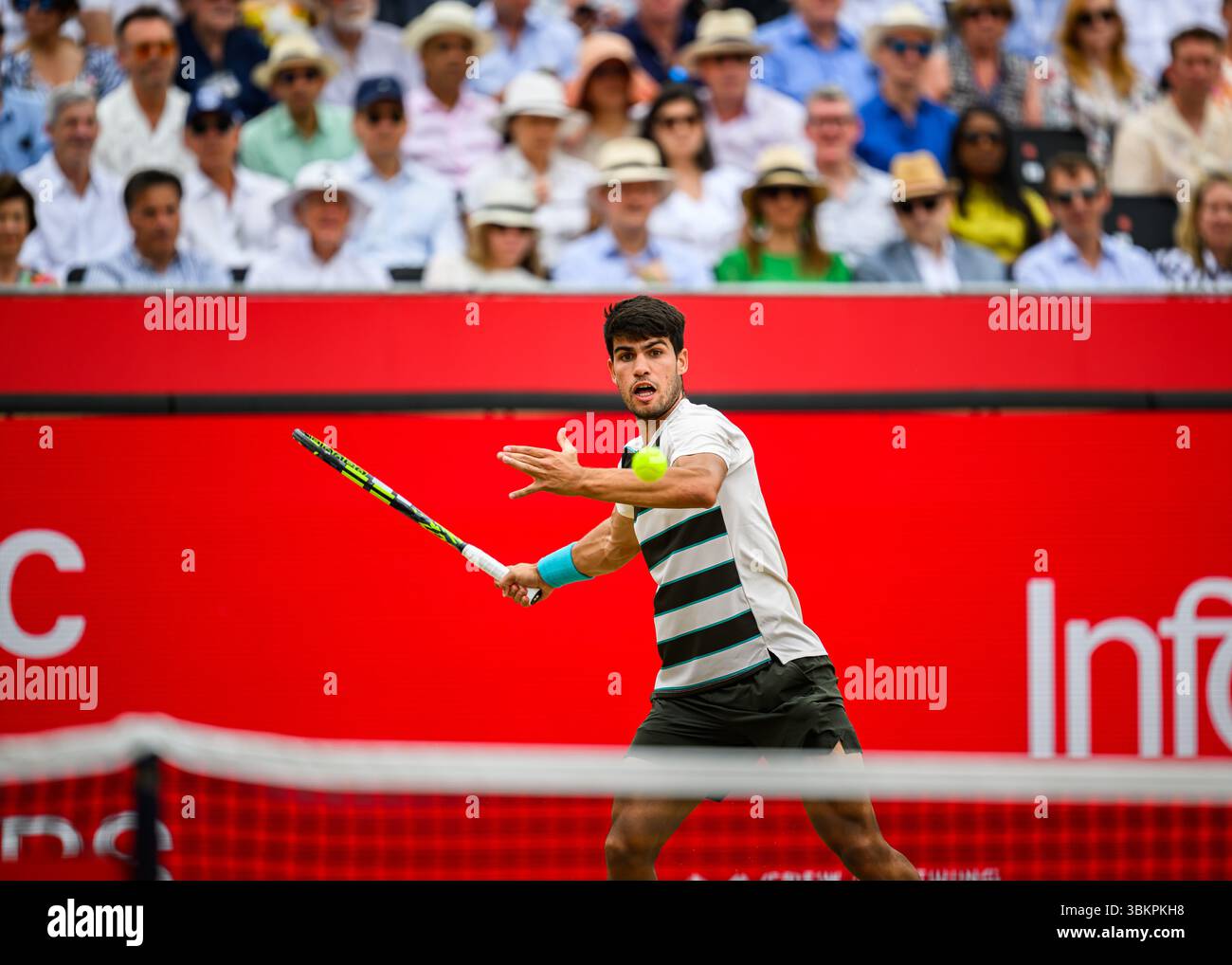 LONDRES, ROYAUME-UNI 22 juin : Carlos Alcaraz (ESP) en action contre Jiri Lehecka (CZE) lors de la finale ATP 500 des Championnats HSBC 2025 au Queen's Club le dimanche 22 juin 2025 à LONDRES, ROYAUME-UNI. Crédit : Taka Wu/Alamy Live News Banque D'Images