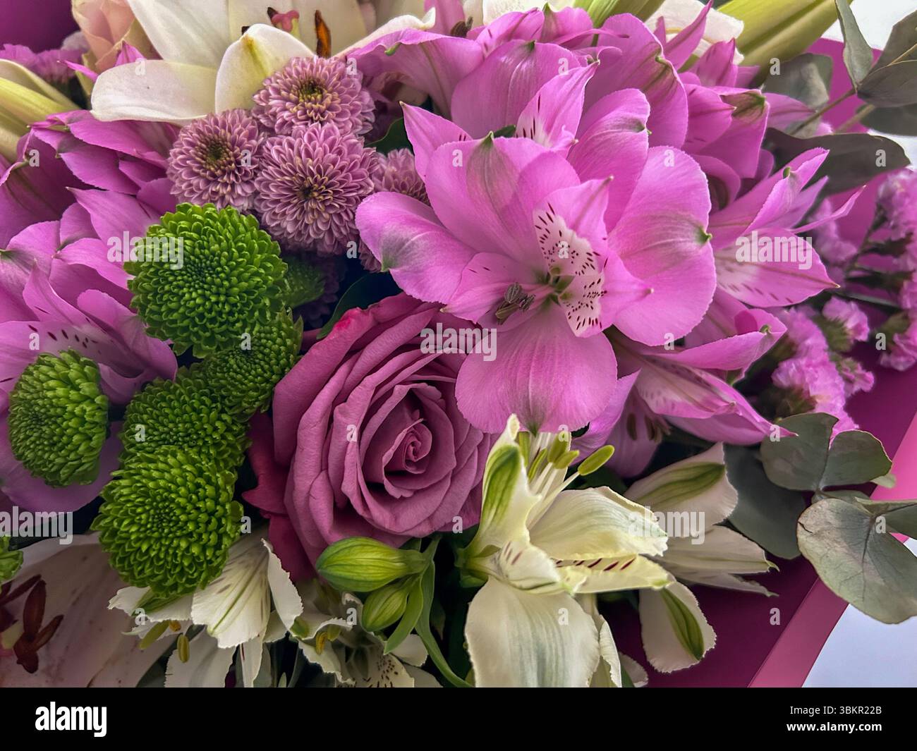 Bouquet vif d'alstroemerias roses, de roses lavande, de lis blancs, de chrysanthèmes verts et de feuilles d'eucalyptus, idéal pour la conception florale et les cadeaux. - Image de stock capturée avec un smartphone