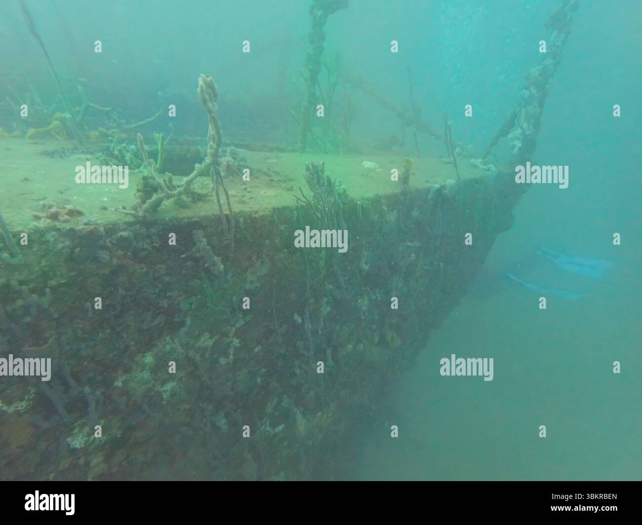 Plongée sous-marine sur une épave de bateau à Bocas del Toro, Panama (près de Isla Colón) Banque D'Images
