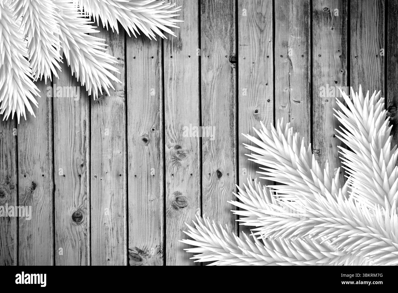 Branches de sapin sur des planches Banque D'Images