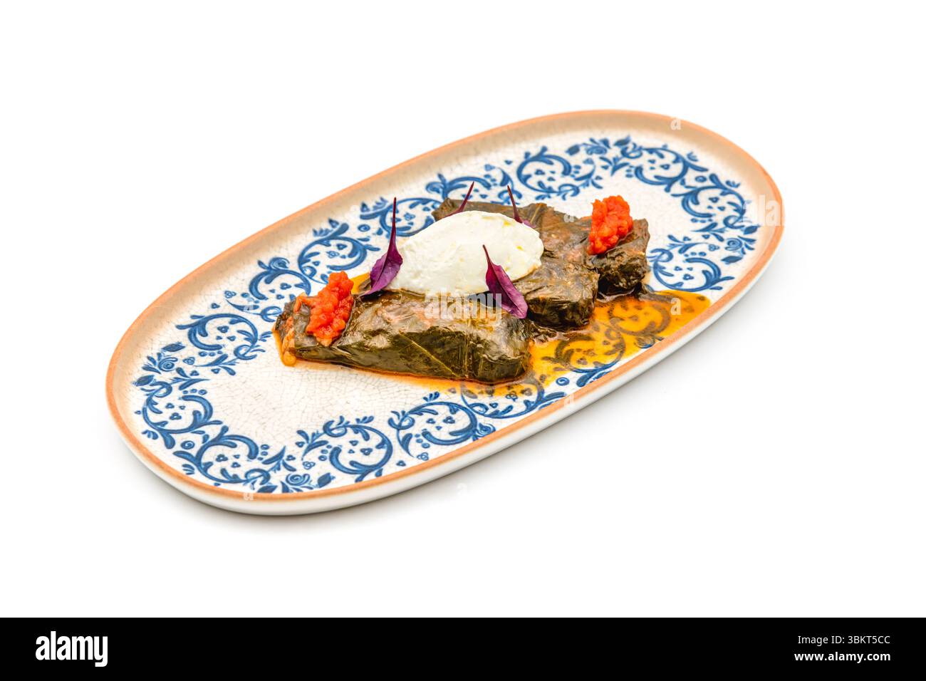 Dolma turc (sarma) feuilles de vigne farcies de la cuisine traditionnelle turque. Nom turc Yaprak Sarmasi Banque D'Images