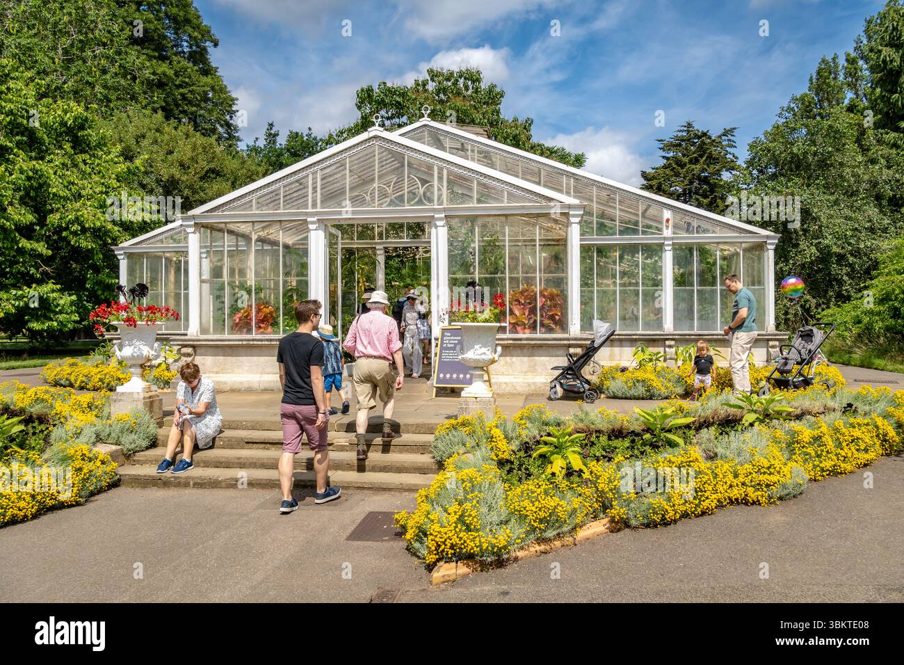 Londres, Royaume-Uni. 22 juin 2025. Les visiteurs profitent d'une journée ensoleillée aux jardins de Kew à Londres, explorant les jardins botaniques historiques, les serres et les terrains paysagers. L'attraction populaire attire les foules avec ses riches collections de plantes et ses expositions saisonnières. Crédit : Thomas Faull/Alamy Live News Banque D'Images