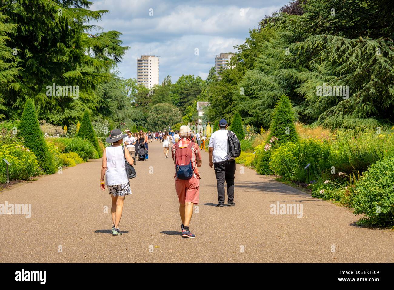 Londres, Royaume-Uni. 22 juin 2025. Les visiteurs profitent d'une journée ensoleillée aux jardins de Kew à Londres, explorant les jardins botaniques historiques, les serres et les terrains paysagers. L'attraction populaire attire les foules avec ses riches collections de plantes et ses expositions saisonnières. Crédit : Thomas Faull/Alamy Live News Banque D'Images Londres, Royaume-Uni. 22 juin 2025. Les visiteurs profitent d'une journée ensoleillée aux jardins de Kew à Londres, explorant les jardins botaniques historiques, les serres et les terrains paysagers. L'attraction populaire attire les foules avec ses riches collections de plantes et ses expositions saisonnières. Crédit : Thomas Faull/Alamy Live News Banque D'Images