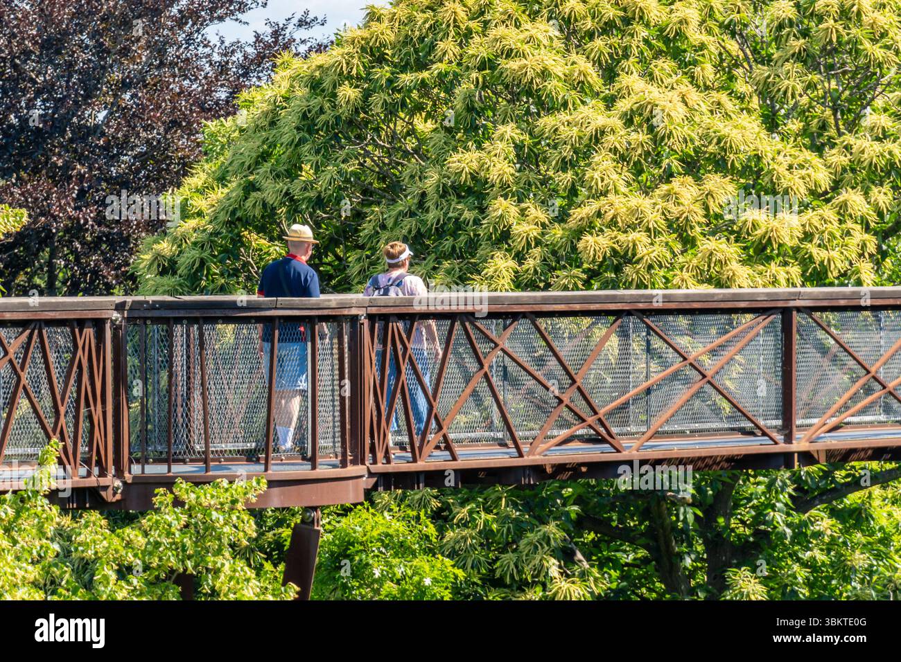 Londres, Royaume-Uni. 22 juin 2025. Les visiteurs profitent d'une journée ensoleillée aux jardins de Kew à Londres, explorant les jardins botaniques historiques, les serres et les terrains paysagers. L'attraction populaire attire les foules avec ses riches collections de plantes et ses expositions saisonnières. Crédit : Thomas Faull/Alamy Live News Banque D'Images Londres, Royaume-Uni. 22 juin 2025. Les visiteurs profitent d'une journée ensoleillée aux jardins de Kew à Londres, explorant les jardins botaniques historiques, les serres et les terrains paysagers. L'attraction populaire attire les foules avec ses riches collections de plantes et ses expositions saisonnières. Crédit : Thomas Faull/Alamy Live News Banque D'Images