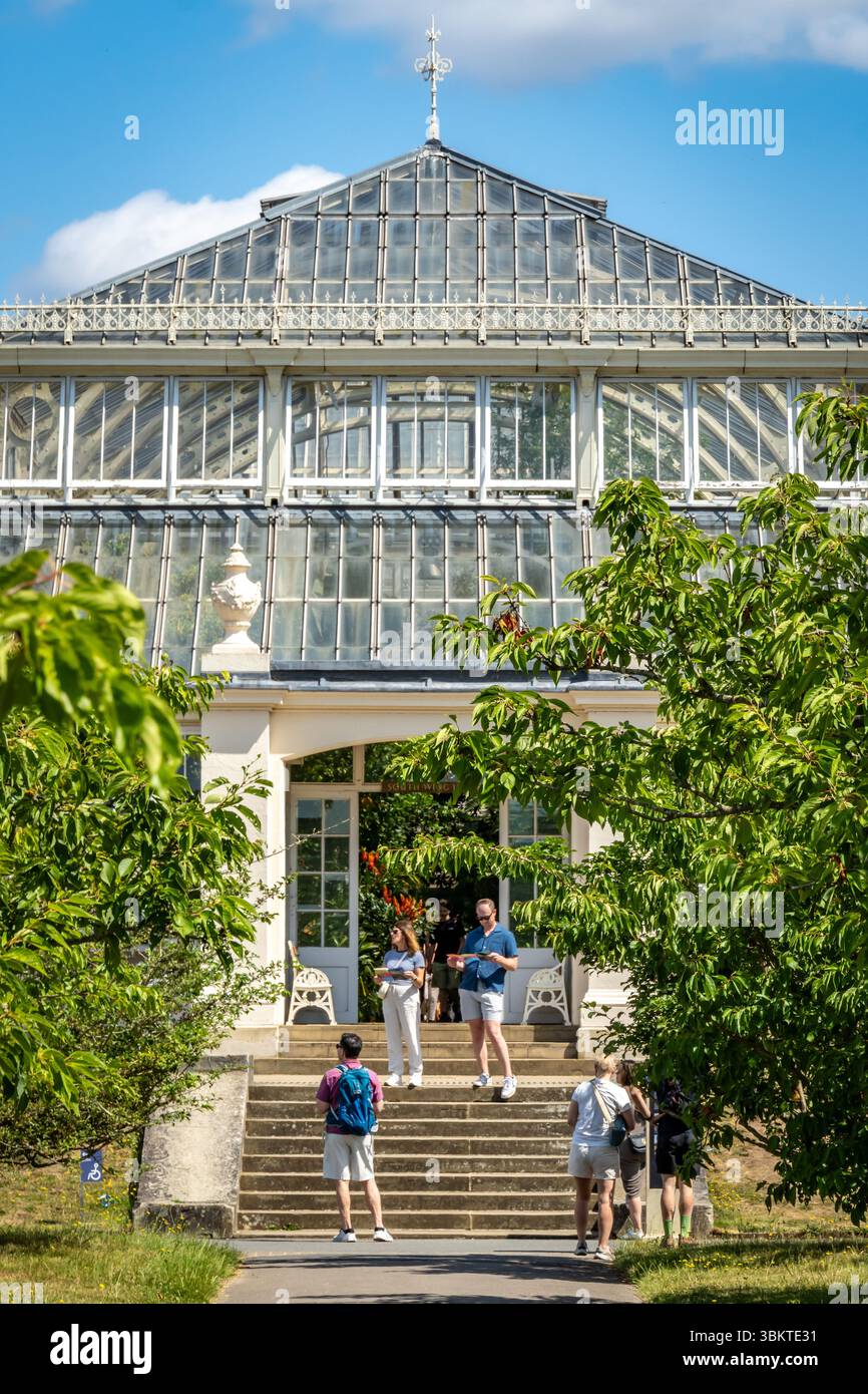 Londres, Royaume-Uni. 22 juin 2025. Les visiteurs profitent d'une journée ensoleillée aux jardins de Kew à Londres, explorant les jardins botaniques historiques, les serres et les terrains paysagers. L'attraction populaire attire les foules avec ses riches collections de plantes et ses expositions saisonnières. Crédit : Thomas Faull/Alamy Live News Banque D'Images