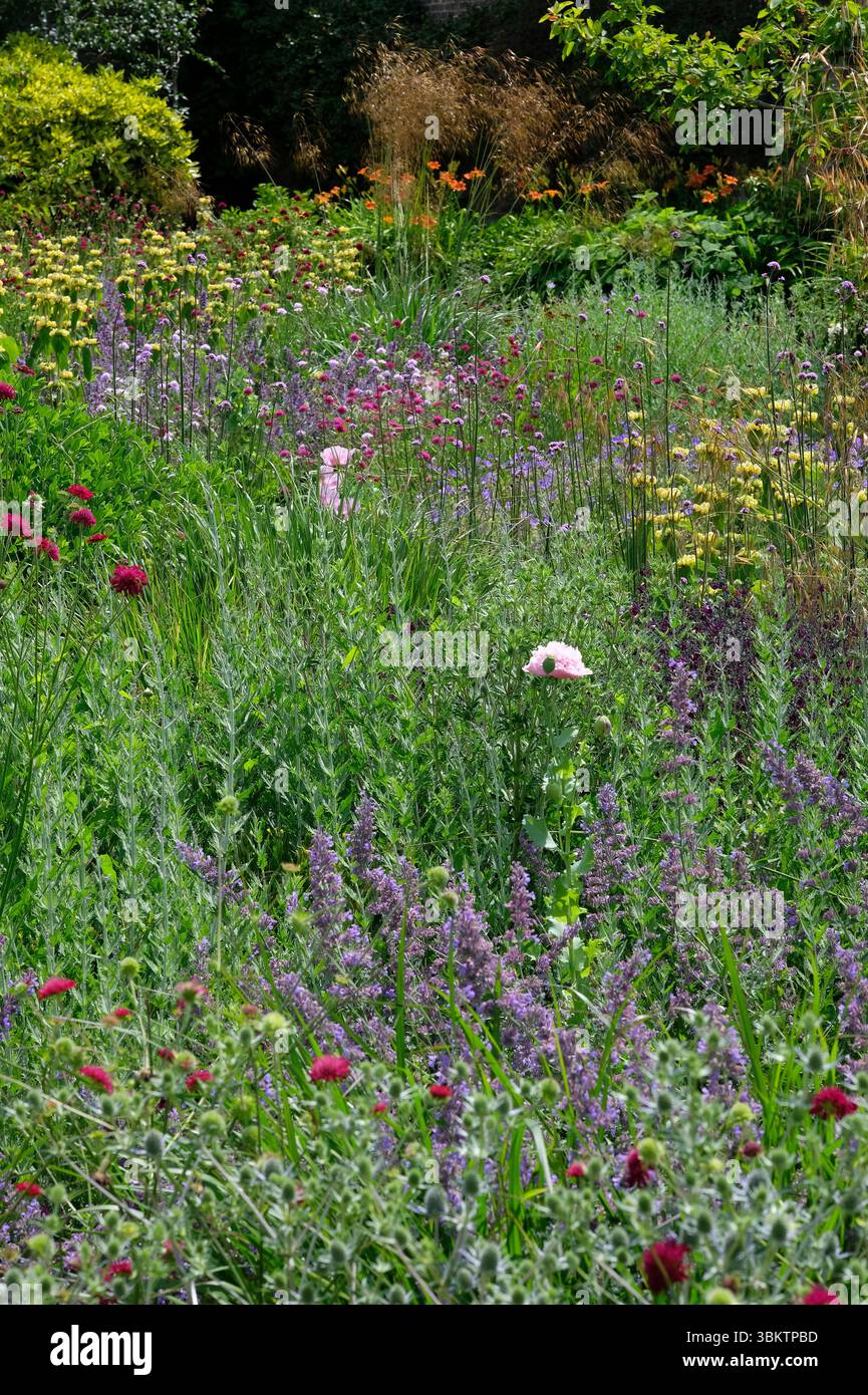 holkham hall jardin clos, nord de norfolk, angleterre Banque D'Images