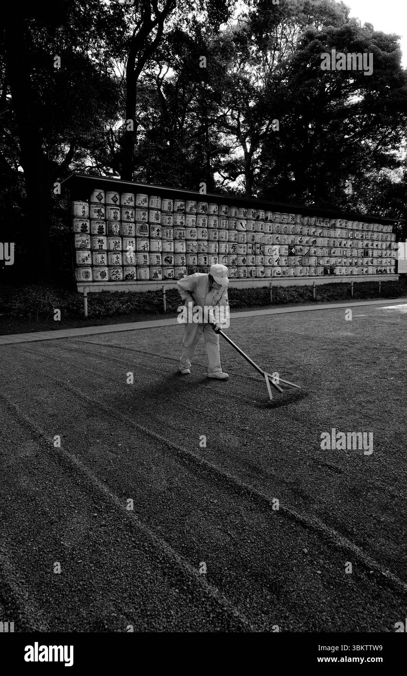 Le gardien ratisse doucement le gravier du sanctuaire Meiji Jingu, avec des rangées de tonneaux de saké traditionnels formant une toile de fond tranquille de dévotion culturelle Banque D'Images