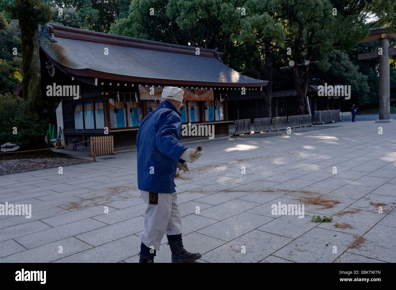 Un jardinier balaie les aiguilles de pin tombées au sanctuaire de Meiji Banque D'Images