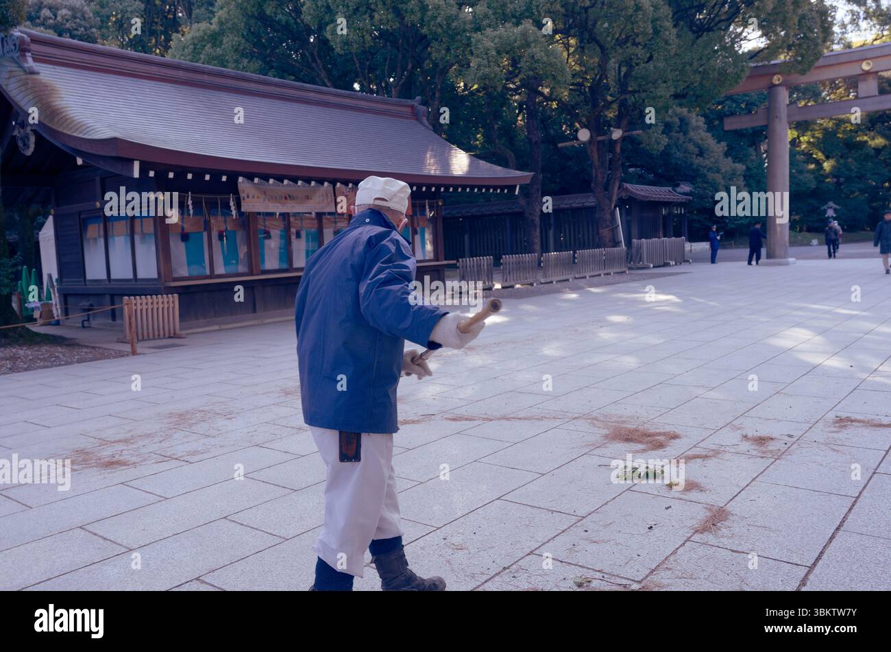 Le gardien de sol balaie les aiguilles de pin tombées au sanctuaire de Meiji Banque D'Images