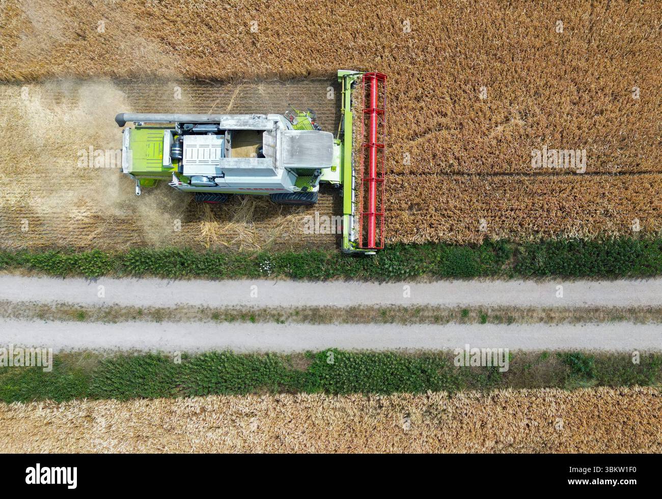 Petersdorf, Allemagne. 23 juin 2025. Un agriculteur récolte de l'orge avec sa moissonneuse-batteuse dans un champ du district d'Oder-Spree dans l'est du Brandebourg (vue aérienne avec un drone). La récolte des céréales commence lentement dans les champs en Allemagne. Crédit : Patrick Pleul/dpa/Alamy Live News Banque D'Images