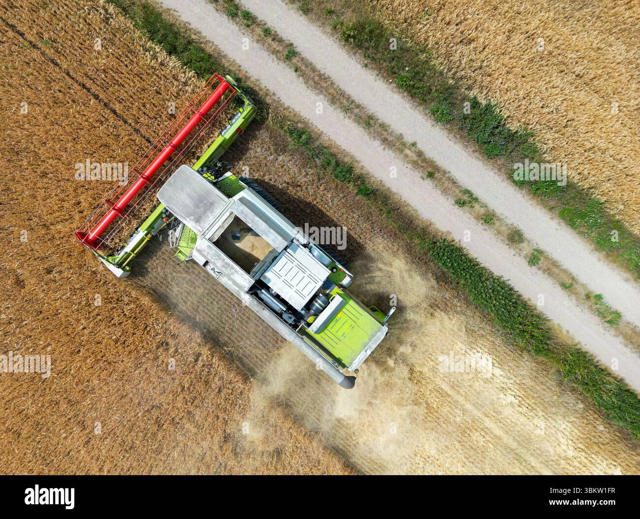 Petersdorf, Allemagne. 23 juin 2025. Un agriculteur récolte de l'orge avec sa moissonneuse-batteuse dans un champ du district d'Oder-Spree dans l'est du Brandebourg (vue aérienne avec un drone). La récolte des céréales commence lentement dans les champs en Allemagne. Crédit : Patrick Pleul/dpa/Alamy Live News Banque D'Images