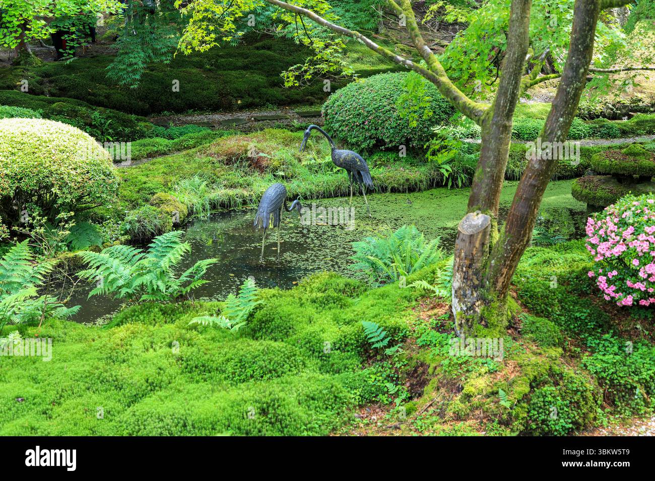 Deux sculptures de grues dans un étang ou une piscine au jardin japonais, Tatton Park, Cheshire Angleterre, Royaume-Uni Banque D'Images