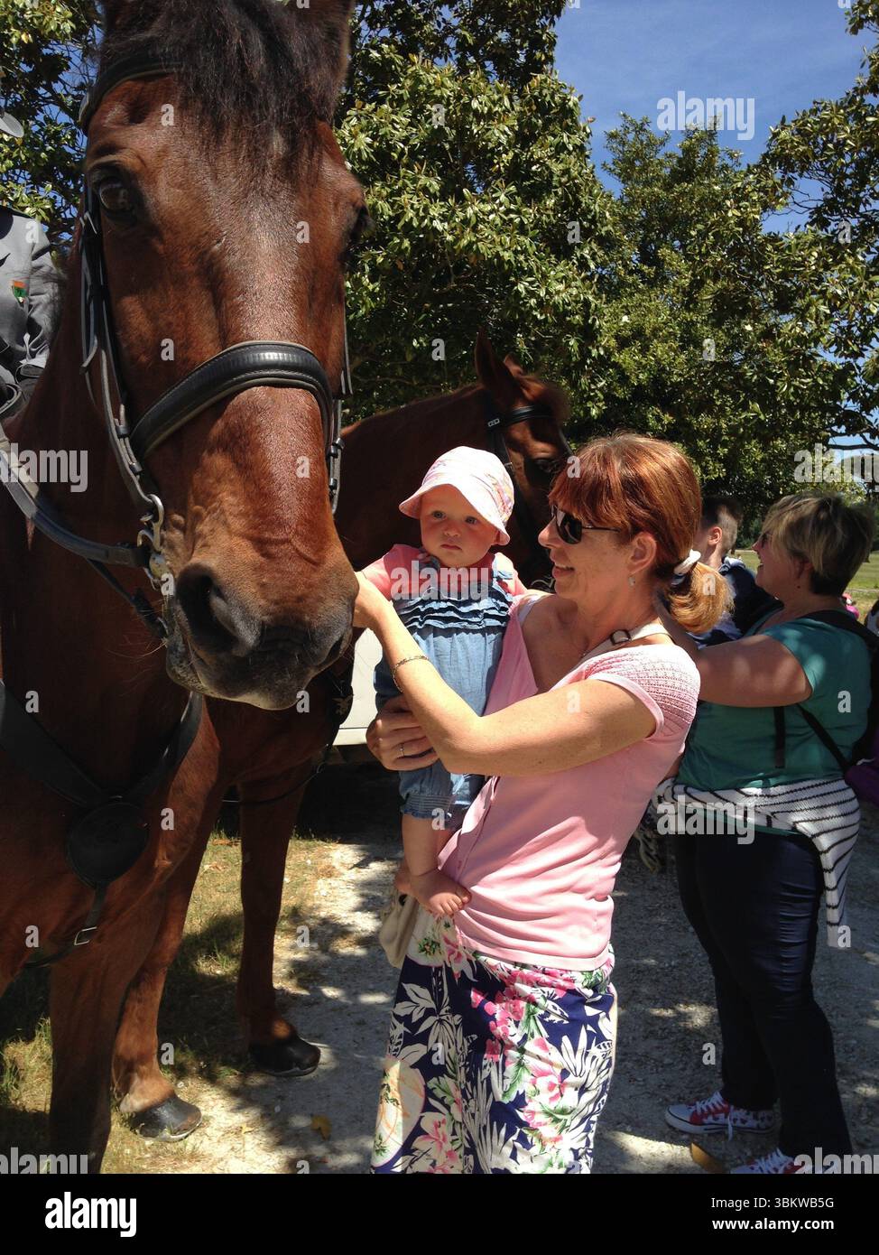 Femme tient joyeusement bébé près d'un grand cheval dans un parc extérieur. Bébé touche curieusement le cheval, tandis que plusieurs personnes profitent de la journée ensoleillée autour du Banque D'Images
