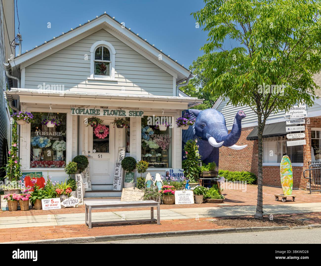 façade avant du magasin de fleurs topiaries Banque D'Images
