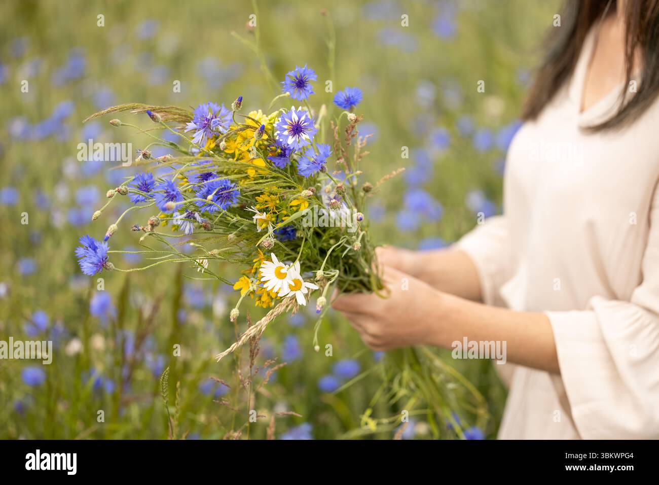 Bouquet d'herbes sauvages pour la guérison naturelle Banque D'Images