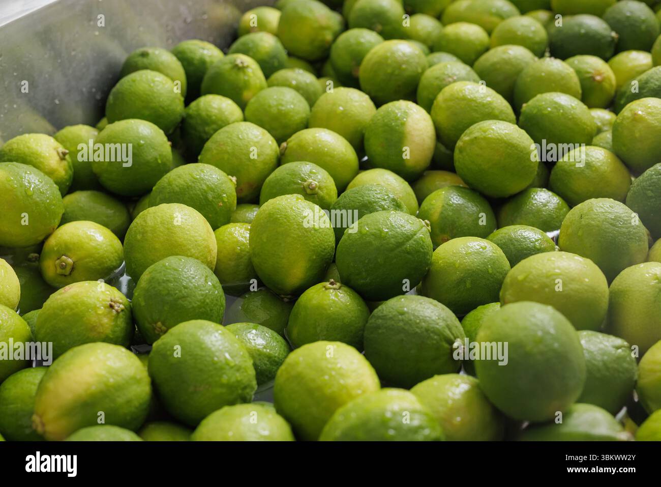 Gros plan de limes vertes fraîches lavées à l'eau pour une utilisation dans l'industrie alimentaire commerciale, parfait pour une alimentation saine et la production de boissons Banque D'Images