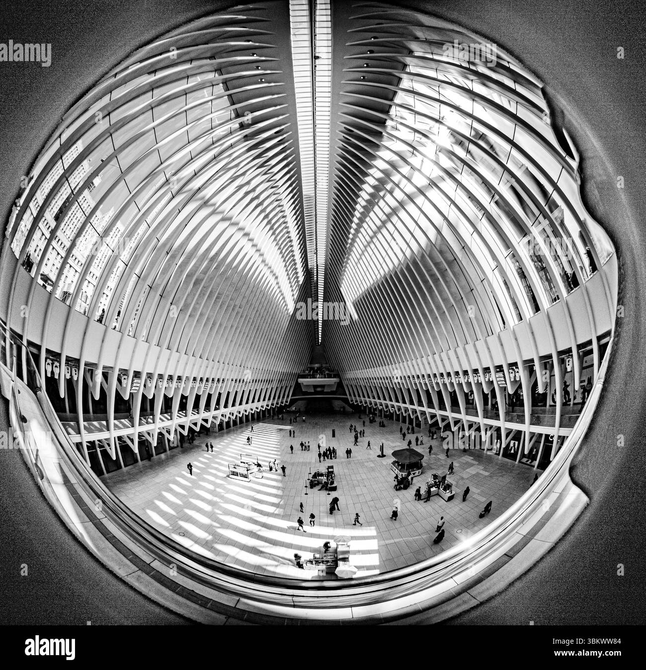 Objectif fisheye noir et blanc gros plan d'un œil reflétant la ligne d'horizon de Manhattan avec une architecture urbaine déformée et une perspective spectaculaire. Banque D'Images