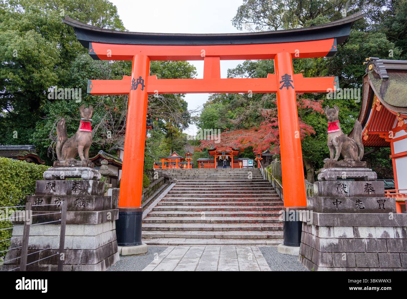 Les visiteurs montent des marches à travers une porte torii orange vibrante, gardée par des renards Inari en pierre, vers un sanctuaire shinto japonais. Banque D'Images