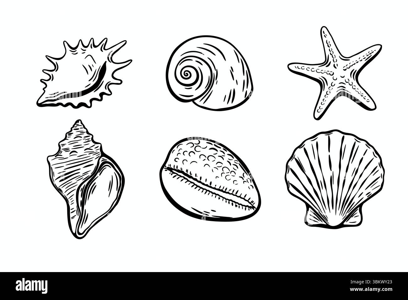 Ensemble d'illustrations à l'encre noire dessinées à la main de coquillages et d'étoiles de mer dans un style de gravure vintage, idéal pour les conceptions estivales méditerranéennes. Illustration de Vecteur