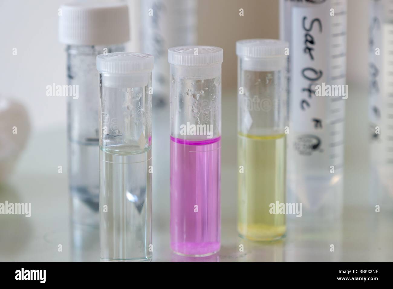 Résultats des tests en laboratoire : les flacons montrent des liquides clairs, roses et jaunes, indiquant différentes réactions chimiques ou propriétés de l'échantillon. Banque D'Images