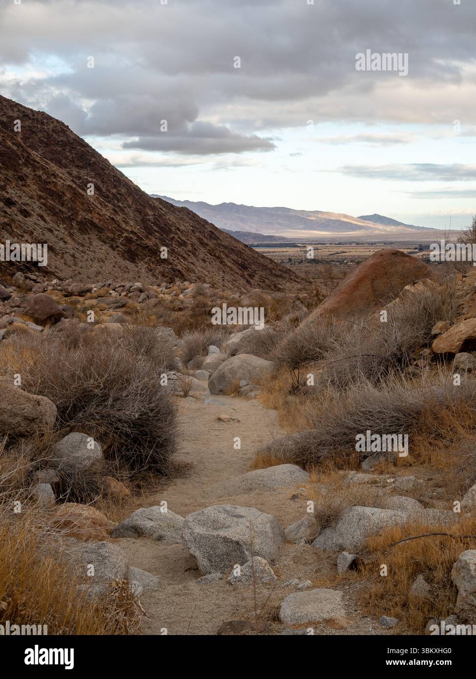 Un sentier sablonneux serpente à travers un paysage désertique rocheux, flanqué de broussailles sèches et de rochers, menant vers des montagnes lointaines sous un ciel nuageux. Banque D'Images Un sentier sablonneux serpente à travers un paysage désertique rocheux, flanqué de broussailles sèches et de rochers, menant vers des montagnes lointaines sous un ciel nuageux. Banque D'Images