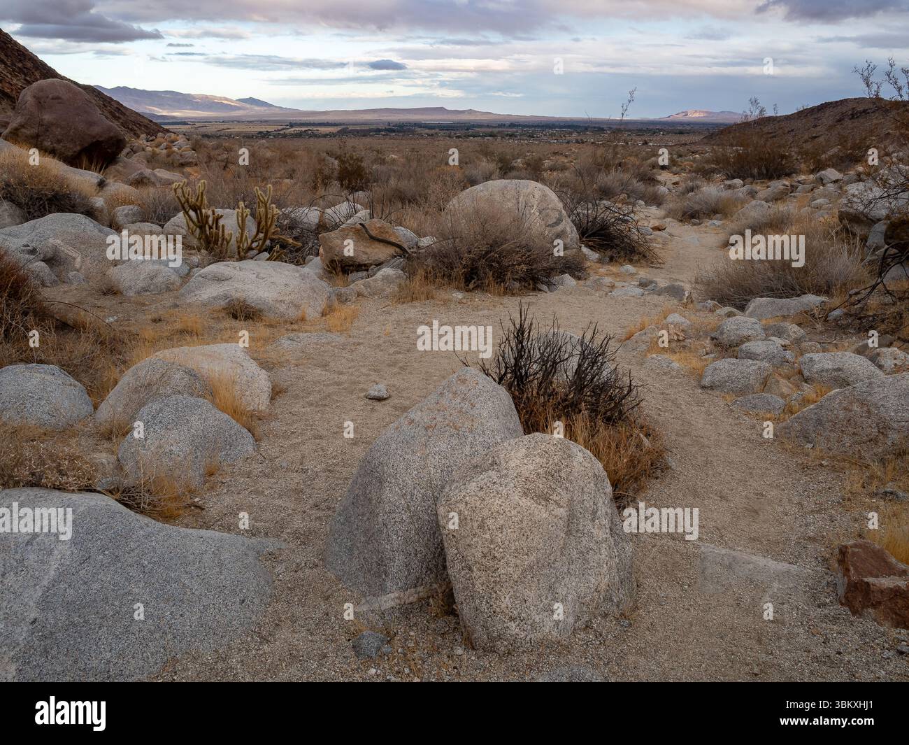Un paysage désertique avec un chemin sablonneux serpentant à travers les rochers et la végétation clairsemée, menant à une ville lointaine sous un ciel nuageux. Banque D'Images Un paysage désertique avec un chemin sablonneux serpentant à travers les rochers et la végétation clairsemée, menant à une ville lointaine sous un ciel nuageux. Banque D'Images