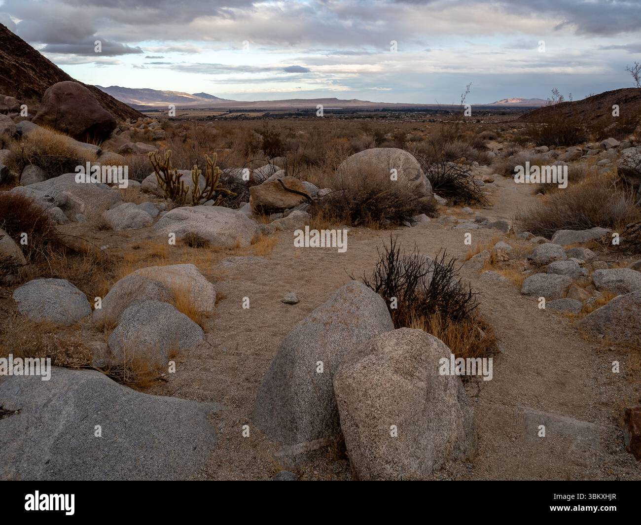 Une vue de paysage d'une vallée désertique avec de grands rochers et une végétation clairsemée sous un ciel nuageux. Banque D'Images Une vue de paysage d'une vallée désertique avec de grands rochers et une végétation clairsemée sous un ciel nuageux. Banque D'Images