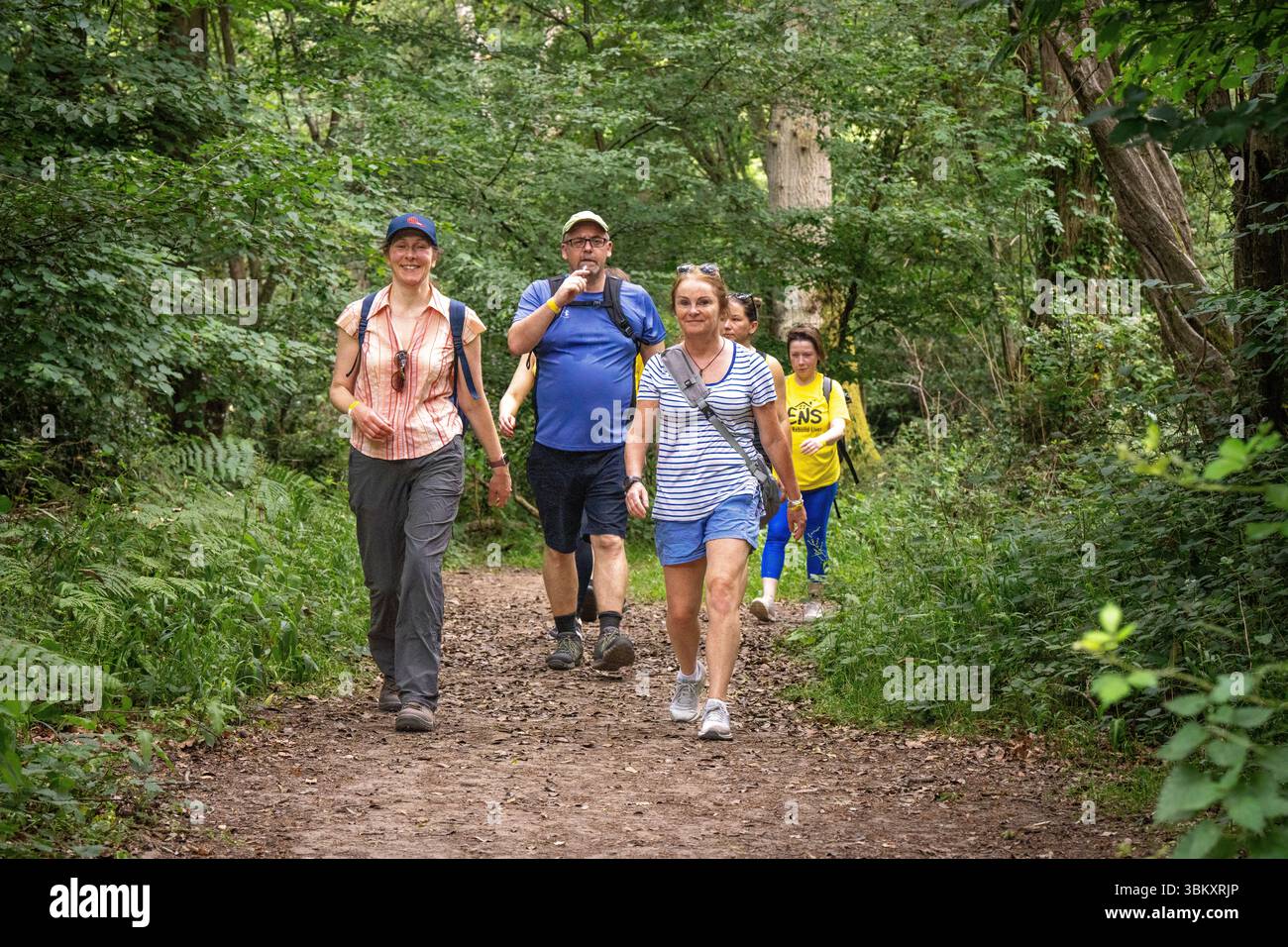 Les participants adultes apprécient la marche dans les bois au 2025 berkhamsted Woodland Trail 2025 organisé par les MAISONS caritatives de Dacorum Banque D'Images