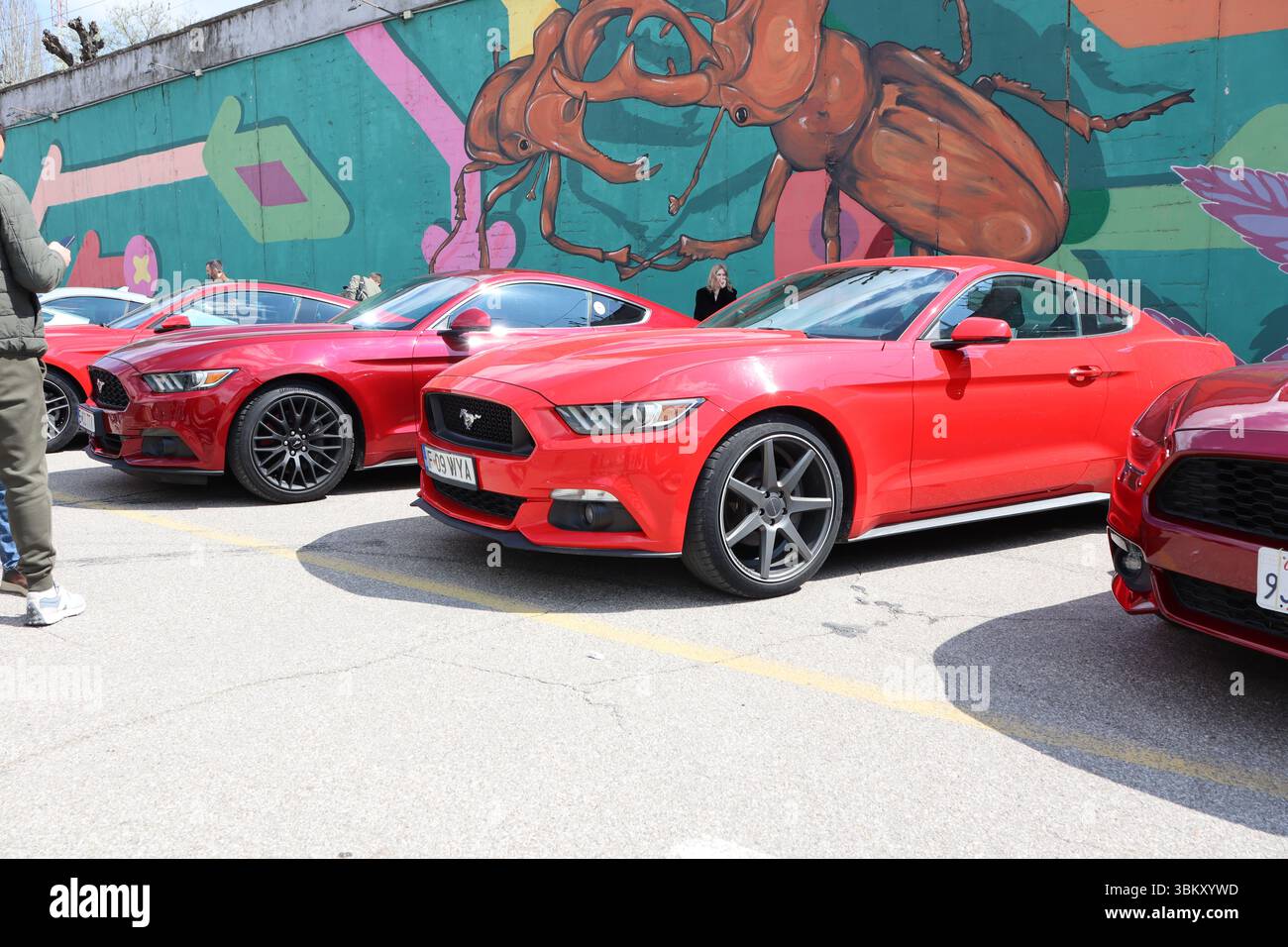 09.3.2025 Moldavie Une vitrine de la Mustang rouge dans un cadre urbain met en lumière les voitures musculaires emblématiques et la culture automobile Banque D'Images