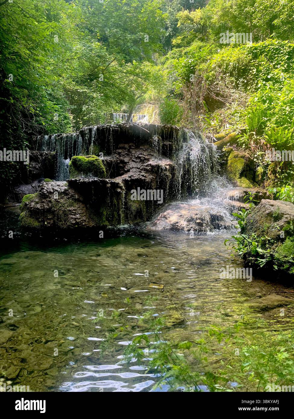 Piscine turquoise peu profonde à Krushuna Cascades et verdure luxuriante, oasis karstique au cœur de la Bulgarie, de l'Europe de l'est, des Balkans - Image de stock capturée avec un smartphone