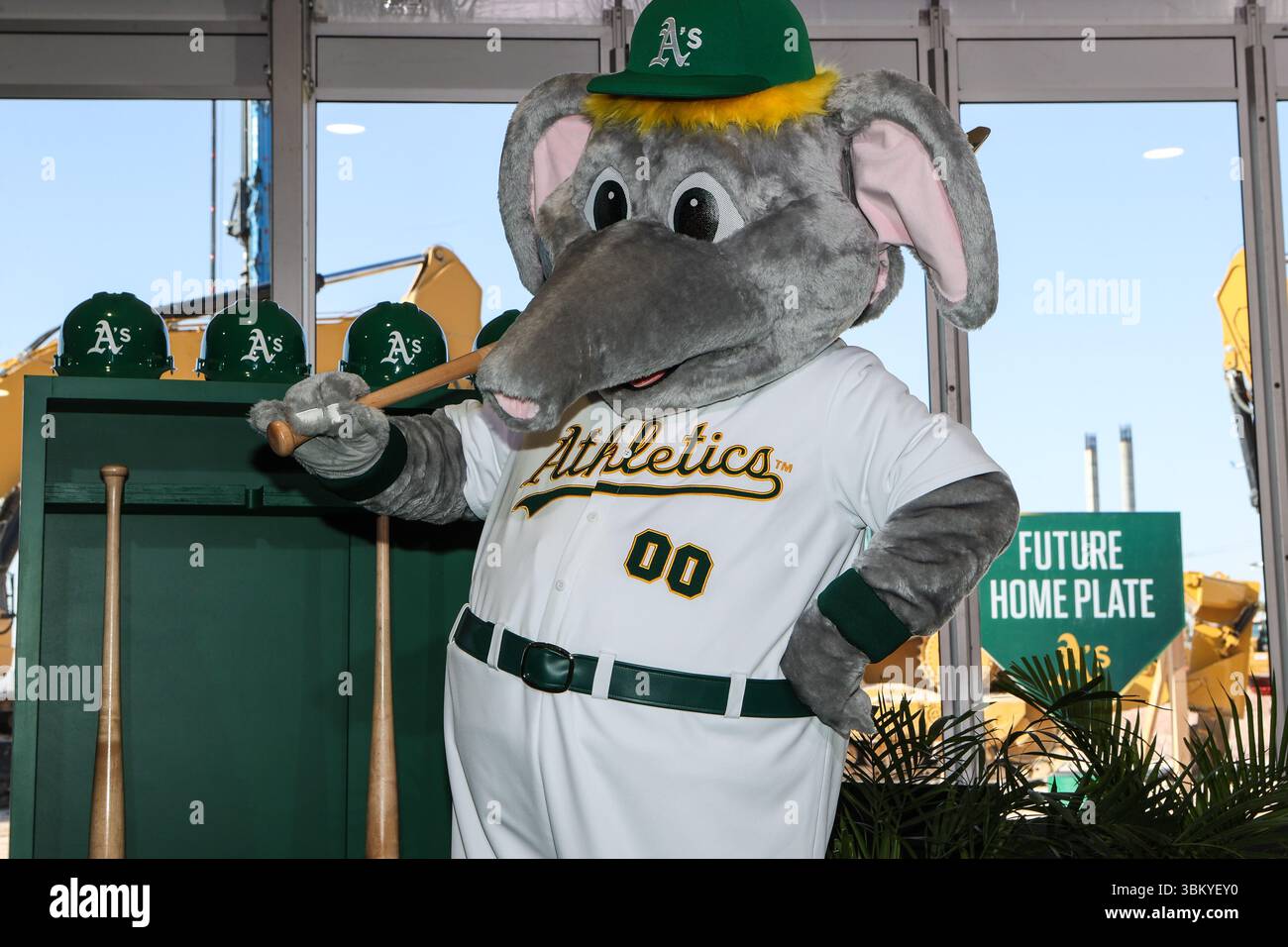 Las Vegas, Nevada, États-Unis. 23 juin 2025. Oakland A's Stomper en action lors de la cérémonie d'inauguration du stade Athletics Las Vegas sur le site de l'ancien hôtel Tropicana le 23 juin 2025 à Las Vegas, Nevada. Christopher Trim/CSM (image crédit : © Christopher Trim/Cal Sport Media). Crédit : csm/Alamy Live News Banque D'Images