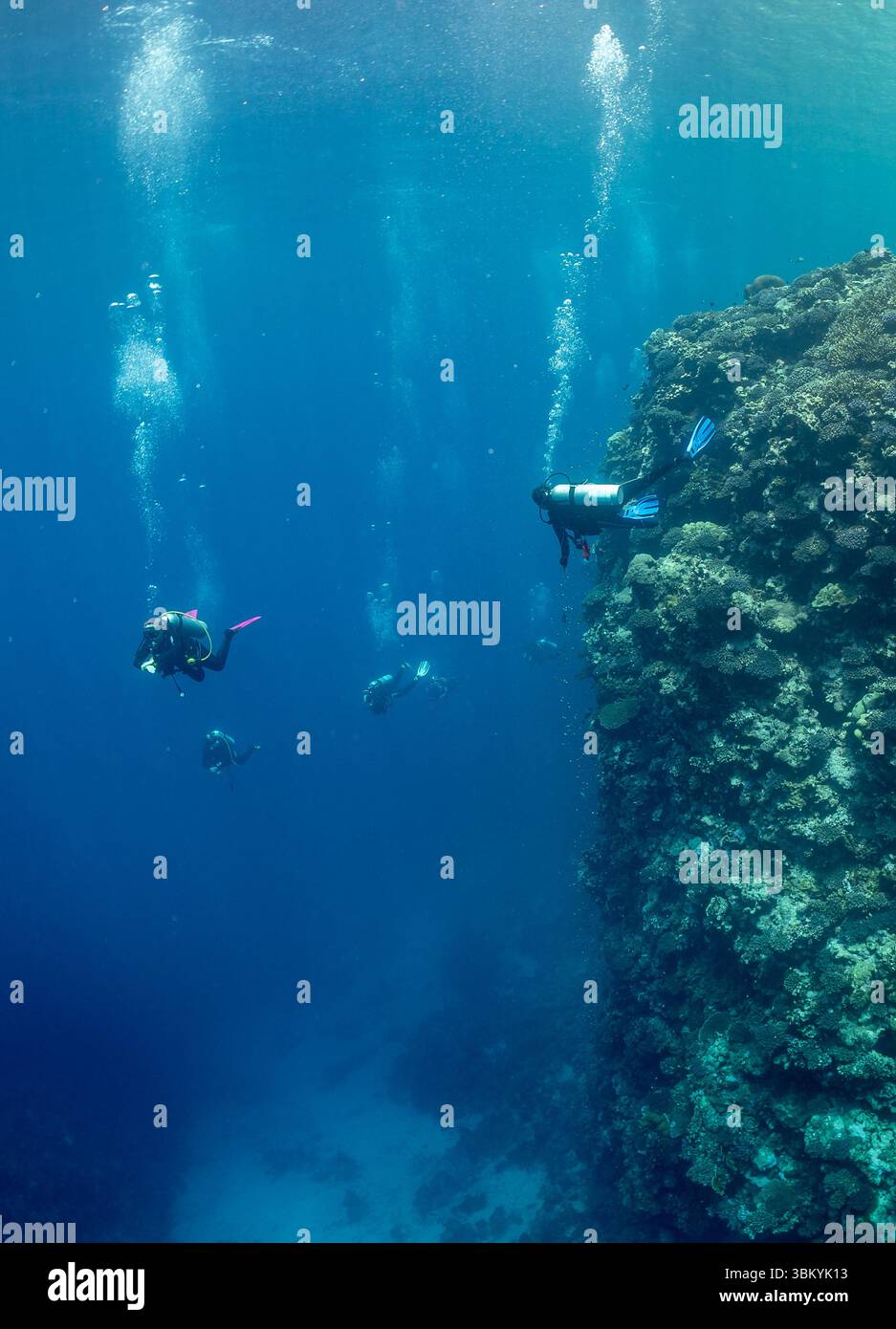 Un groupe de plongeurs explorent un récif corallien vibrant, leurs bulles remontant à la surface alors qu'ils observent l'écosystème sous-marin. Banque D'Images Un groupe de plongeurs explorent un récif corallien vibrant, leurs bulles remontant à la surface alors qu'ils observent l'écosystème sous-marin. Banque D'Images