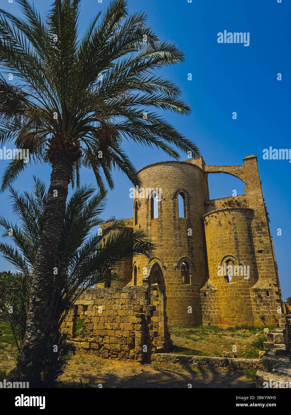 Ruine de l'église St George des Grecs avec palmier Famagouste Chypre 2025-06-13 Banque D'Images
