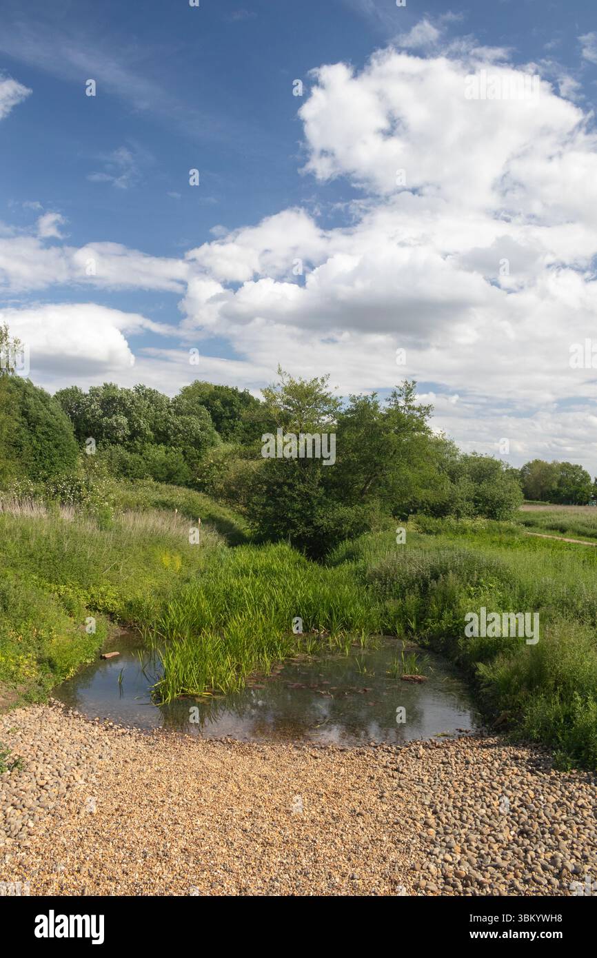 Vue du Blyth Bridge, également connu sous le nom de White Bridge, Halesworth Millennium Green, Suffolk, Angleterre, Royaume-Uni Banque D'Images