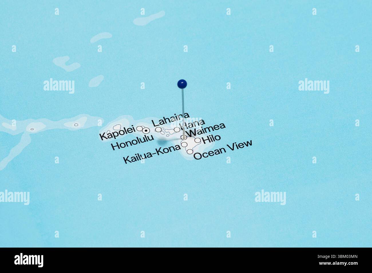 Macro photo d'une aiguille bleue dans la ville de Waimea de l'île d'Hawaï des États-Unis d'Amérique carte politique Banque D'Images