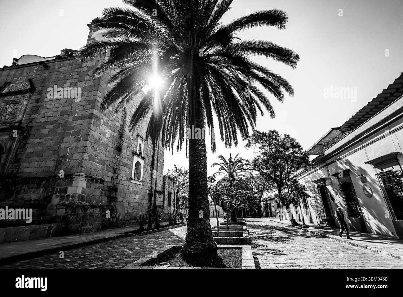 Oaxaca de Juárez, une ville du centre du Mexique, présente des bâtiments coloniaux, dont beaucoup se trouvent dans le Zócalo, la place centrale et le palais du gouvernement, avec des peintures murales colorées représentant l'histoire régionale. La place Alameda de León fait face à la façade ornée de la cathédrale d'Oaxaca. L'église Templo de Santo Domingo du XVIe siècle possède un somptueux intérieur baroque et un ancien couvent y est adjacent. ― 2005 © (photo Luis Gutierrez/Norte photo) Oaxaca de Juarez, ciudad del centro de México, edificios coloniales, muchos de los cuales están , plaza central del Zócalo, se encuentra el Palacio de Gobierno, Banque D'Images