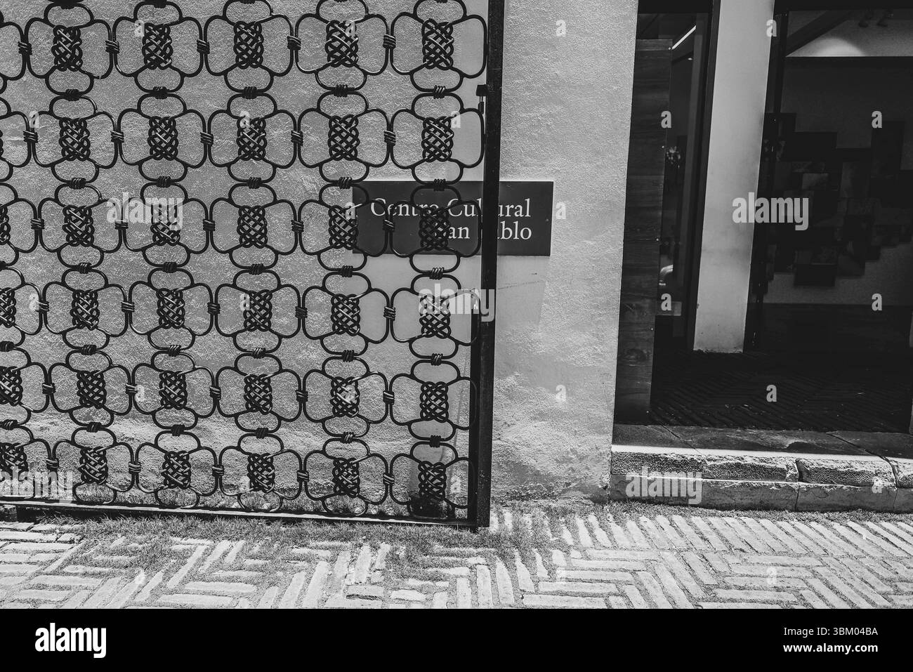 Oaxaca de Juárez, une ville du centre du Mexique, présente des bâtiments coloniaux, dont beaucoup se trouvent dans le Zócalo, la place centrale et le palais du gouvernement, avec des peintures murales colorées représentant l'histoire régionale. La place Alameda de León fait face à la façade ornée de la cathédrale d'Oaxaca. L'église Templo de Santo Domingo du XVIe siècle possède un somptueux intérieur baroque et un ancien couvent y est adjacent. ― 2005 © (photo Luis Gutierrez/Norte photo) Oaxaca de Juarez, ciudad del centro de México, edificios coloniales, muchos de los cuales están , plaza central del Zócalo, se encuentra el Palacio de Gobierno, Banque D'Images