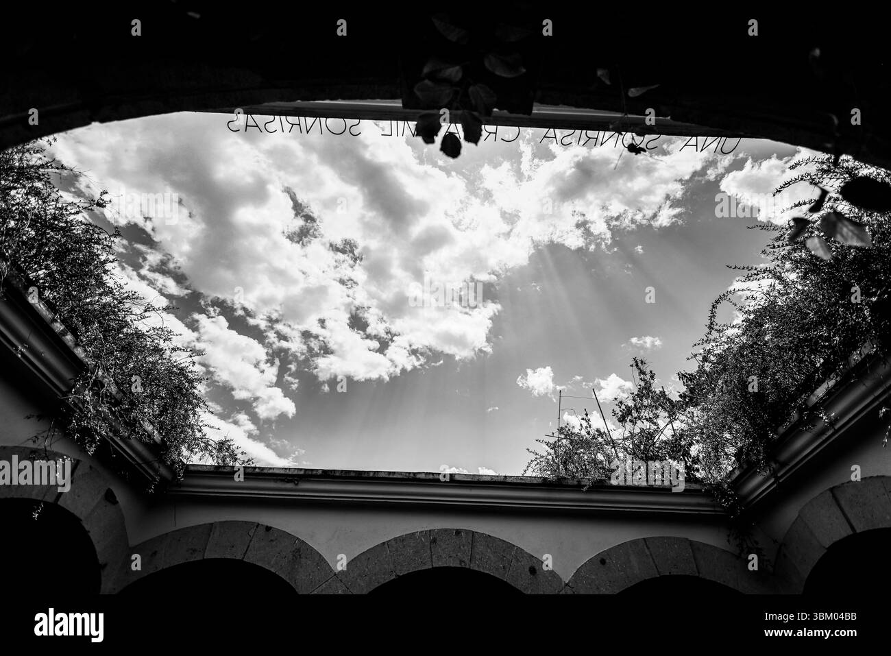 Oaxaca de Juárez, une ville du centre du Mexique, présente des bâtiments coloniaux, dont beaucoup se trouvent dans le Zócalo, la place centrale et le palais du gouvernement, avec des peintures murales colorées représentant l'histoire régionale. La place Alameda de León fait face à la façade ornée de la cathédrale d'Oaxaca. L'église Templo de Santo Domingo du XVIe siècle possède un somptueux intérieur baroque et un ancien couvent y est adjacent. ― 2005 © (photo Luis Gutierrez/Norte photo) Oaxaca de Juarez, ciudad del centro de México, edificios coloniales, muchos de los cuales están , plaza central del Zócalo, se encuentra el Palacio de Gobierno, Banque D'Images