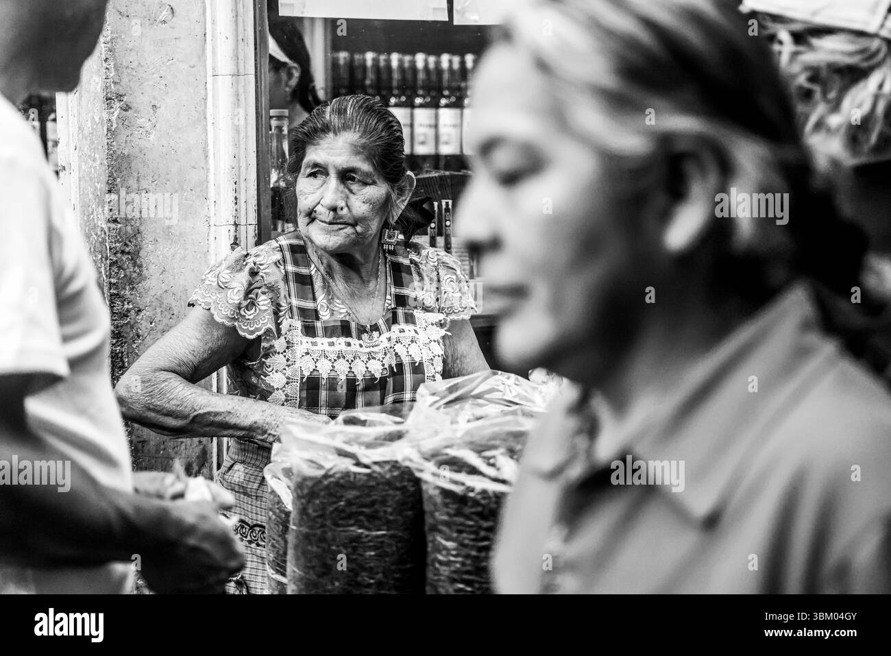 Oaxaca de Juárez, une ville du centre du Mexique, présente des bâtiments coloniaux, dont beaucoup se trouvent dans le Zócalo, la place centrale et le palais du gouvernement, avec des peintures murales colorées représentant l'histoire régionale. La place Alameda de León fait face à la façade ornée de la cathédrale d'Oaxaca. L'église Templo de Santo Domingo du XVIe siècle possède un somptueux intérieur baroque et un ancien couvent y est adjacent. ― 2005 © (photo Luis Gutierrez/Norte photo) Oaxaca de Juarez, ciudad del centro de México, edificios coloniales, muchos de los cuales están , plaza central del Zócalo, se encuentra el Palacio de Gobierno, Banque D'Images