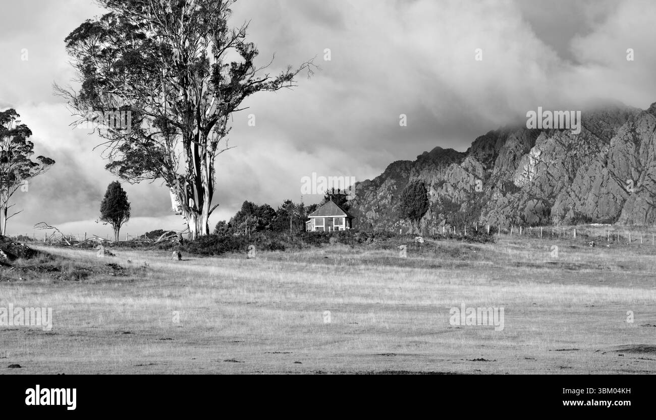 Ciel nuageux Moody avec une tempête imminente sur une cabane isolée isolée isolée au toit rouillé dans un champ vide à côté d'un grand arbre en noir et blanc Banque D'Images